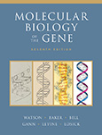 Molecular Biology of the Gene, Seventh Edition