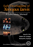 Early Development of Xenopus laevis: A Laboratory Manual